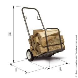 Multifunctional trolley with removable arm